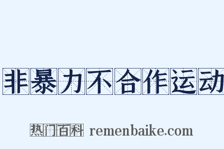 非暴力不合作运动是什么意思的图片